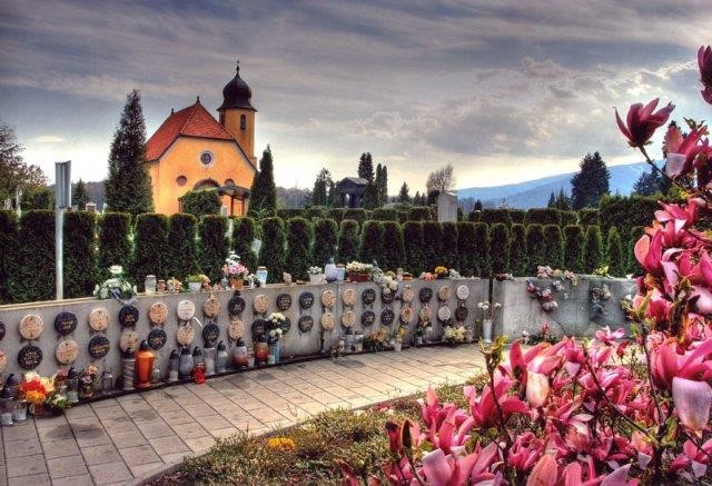 Skupinski raztros pepela na Polju belih vrtnic v oktobru 2023